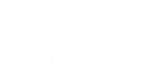 Bogaz Fotografia